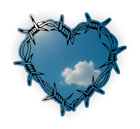 Barbed Wire Mirror