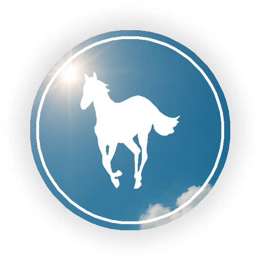White Pony Mirror
